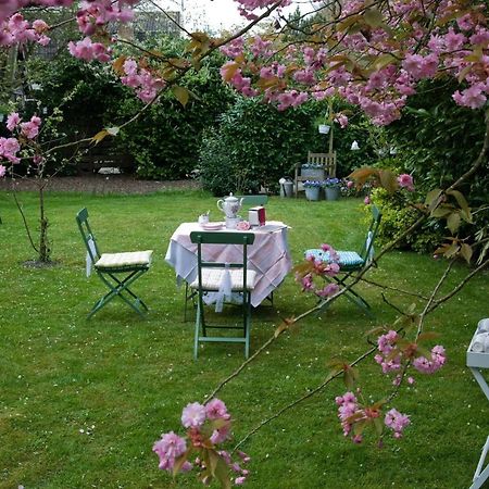 Theetuin En B & B 'De Theetuin' Wijckel Екстериор снимка